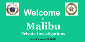 Process Servers in Malibu California